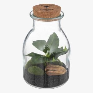 Terrarium 12x19,5 cm - BOTANIC