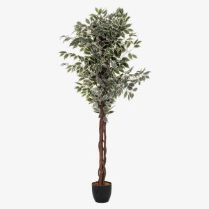 Plante artificielle 70x180 cm - FICUS
