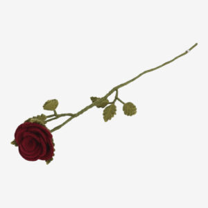 Rose fleur