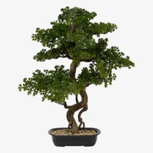 Bonsai artificielle - POLIN